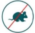 Mice