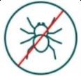 Spiders